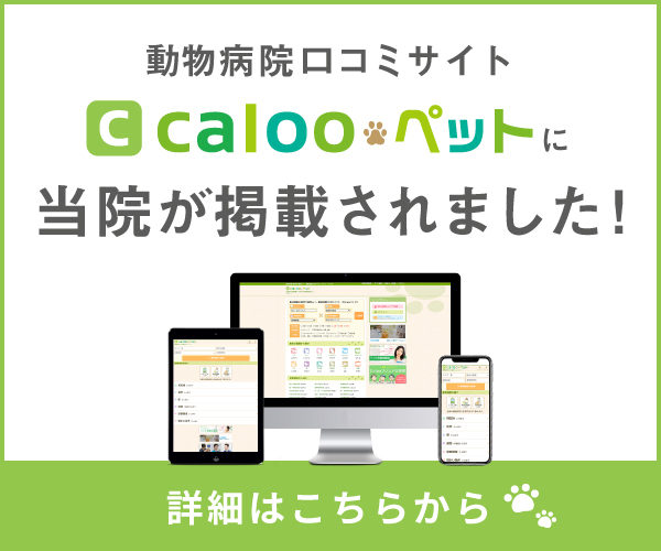 calooペット