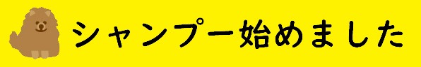 シャンプー始めました
