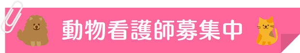 看護師募集